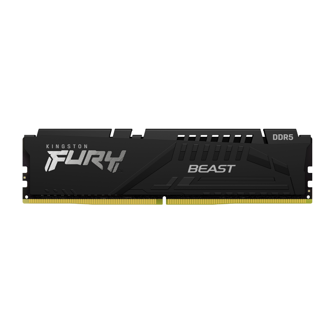 16GB 1x16 DDR5 5200MHz RAM